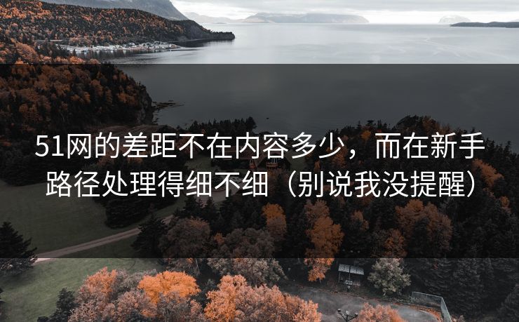 51网的差距不在内容多少，而在新手路径处理得细不细（别说我没提醒）