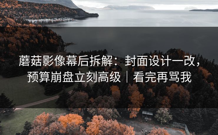 蘑菇影像幕后拆解：封面设计一改，预算崩盘立刻高级｜看完再骂我